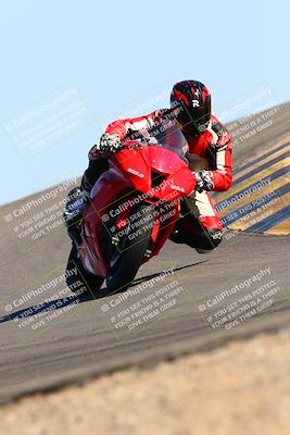 media/Feb-12-2022-SoCal Trackdays (Sat) [[3b21b94a56]]/Turn 12 (140pm)/